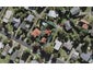 2/61 Lynden Avenue, Hillcrest, Auckland - Carousel 1
