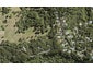 121 Scenic Drive, Titirangi, Auckland - Carousel 1