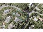 53 Howard Road, Point Howard, Lower Hutt - Carousel 1