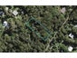 57 Glen Brook Road, Ōmiha, Waiheke Island - Carousel 1