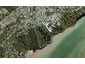 74 Avonleigh Road, Green Bay, Auckland - Carousel 1