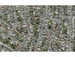 38C Finch Street, Morningside, Auckland - Carousel 1