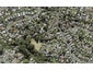 33 Kemp Road, Massey, Auckland - Carousel 1