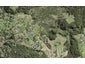 89 Coalmine Road, OPAHEKE, PAPAKURA - Carousel 1