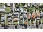 1/61 Arawa Street, New Lynn, Auckland - Carousel 1