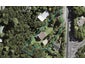 339 Titirangi Road, Titirangi, Auckland - Carousel 1