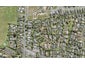 37 Sunny Crescent, Huapai, Kumeu - Carousel 1