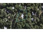 5 O'Brien Road, Omiha, Waiheke Island - Carousel 1