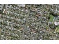 50D Shorwell Street, Sandringham, Auckland - Carousel 1