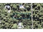 59 Bush Road, Waiatarua, Auckland - Carousel 1