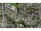27 Hertford Street, Blockhouse Bay, Auckland - Carousel 1