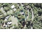 107 Cornwallis Road, Cornwallis, Auckland - Carousel 1