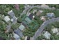 25 Rose Street, Wadestown, Wellington - Carousel 1