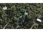 88 Fairview Crescent, Omiha, Waiheke Island - Carousel 1