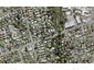 228 Beach Haven Road, Beach Haven, Auckland - Carousel 1