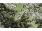 1A Ti Tree Lane, Stanmore Bay, Whangaparaoa - Carousel 1
