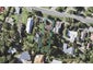 80 Carlton Crescent, Maraetai, Auckland - Carousel 1