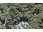 68 Grassmere Road, Henderson Valley, Auckland - Carousel 1