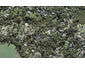 19 Chatham Avenue, Paremoremo, Auckland - Carousel 1