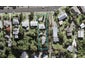 27 Fordham Street, Beach Haven, Auckland - Carousel 1