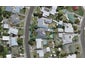 11 Downing Avenue, Pirimai, Napier - Carousel 1