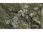 746 South Titirangi Road, Titirangi, Auckland - Carousel 1