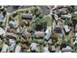 11 Fowey Avenue, Te Atatu South, Auckland - Carousel 1