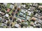 13 Pine Street, New Lynn, Auckland - Carousel 1