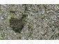 1/22 Glendene Avenue, Glendene, Auckland - Carousel 1
