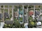 163 Chelmsford Street, Windsor, Invercargill - Carousel 1
