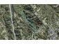 126 Lonely Track Road, Redvale, Auckland - Carousel 1