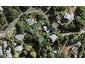 87 Wood Bay Road, Titirangi, Auckland - Carousel 1