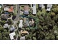 48 James Evans Drive, Northcote, Auckland - Carousel 1