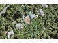 218 Scenic Drive, Titirangi, Auckland - Carousel 1