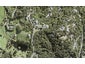2 Glance Street, Sandspit, Warkworth - Carousel 1
