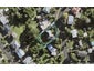 43 Laburnum Road, New Windsor, Auckland - Carousel 1