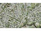 23/5 Brixton Road, Manly, Whangaparaoa - Carousel 1