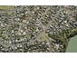 6A Raphael Place, West Harbour, Auckland - Carousel 1