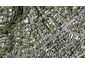 5B Glen Atkinson Street, St Heliers, Auckland - Carousel 1