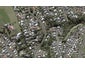 38 Blagdon Road, Blagdon, New Plymouth - Carousel 1