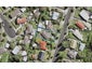 32 Luanda Drive, Ranui, Auckland - Carousel 1