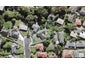 9 Waters Place, New Lynn, Auckland - Carousel 1
