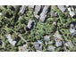 26B Hythe Terrace, Mairangi Bay, Auckland - Carousel 1