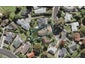 17 Linley Place, Hillcrest, Auckland - Carousel 1
