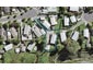 15 Macrocarpa Place, Ranui, Auckland - Carousel 1