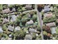 8 Havelle Avenue, Titirangi, Auckland - Carousel 1