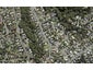 19 Anne McLean Drive, Bayview, Auckland - Carousel 1