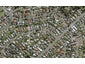8 Alton Avenue, Hillcrest, Auckland - Carousel 1