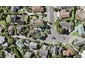 11A Markham Place, Bucklands Beach, Auckland - Carousel 1
