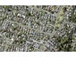 15 Rodney Street, Howick, Auckland - Carousel 1